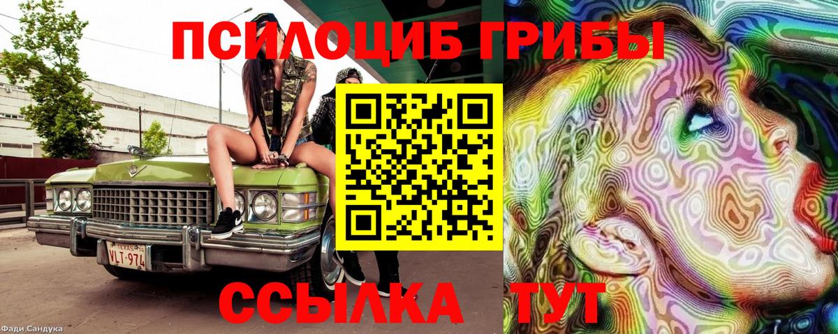 Псилоцибиновые грибы прущие грибы Норильск
