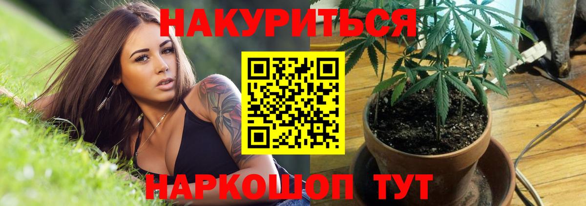 Бошки Шишки Amnesia Норильск